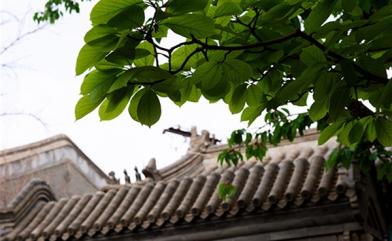 手機也能拍大片？北京這座四合院里，驚喜正在發(fā)生！